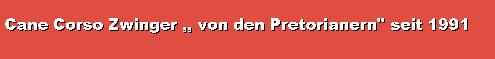 Cane Corso Zucht ,, von den Pretorianern 